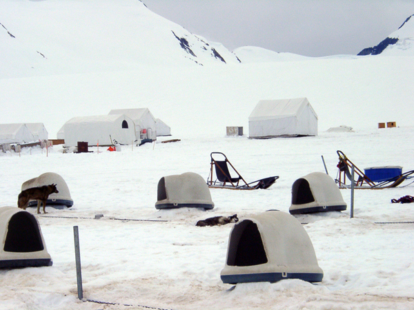 sled dog huts